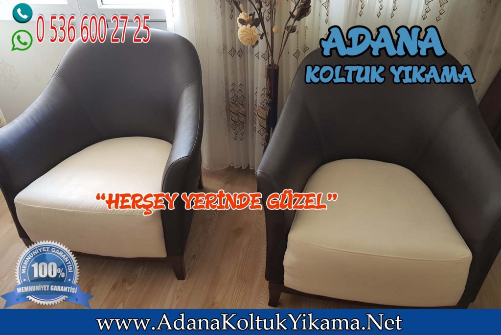 Adana Pınar Mahallesi Berjer Yıkama