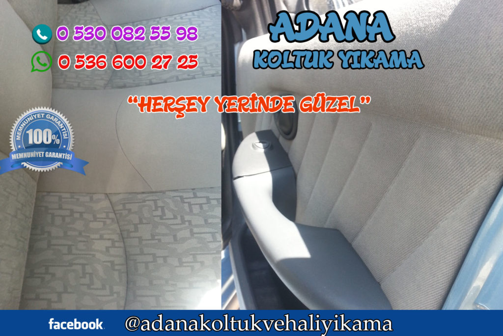 Adana Araç Koltuk Yıkama ( Fiat Palio )