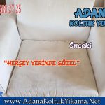 Adana 100 üncü Yıl Koltuk Yıkama