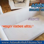 Adana 100 üncü Yıl Koltuk Yıkama