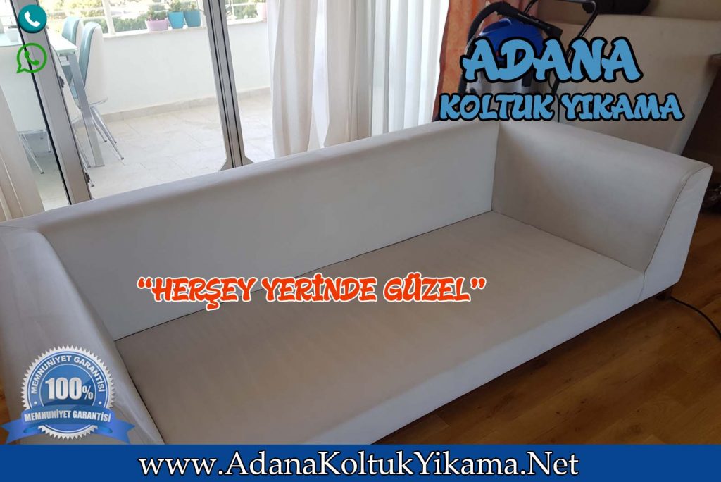 Adana 100 üncü Yıl Koltuk Yıkama