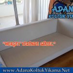 Adana 100 üncü Yıl Koltuk Yıkama