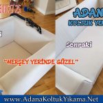 Adana 100 üncü Yıl Koltuk Yıkama