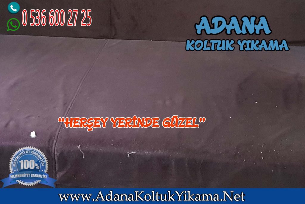 Adana Gazipaşa Çekyat Yıkama