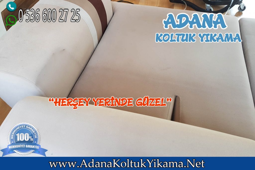 Adana Seyhan Koltuk Yıkama