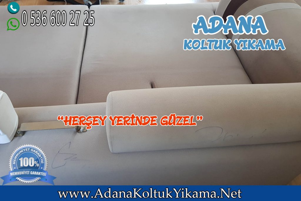 Adana Seyhan Koltuk Yıkama