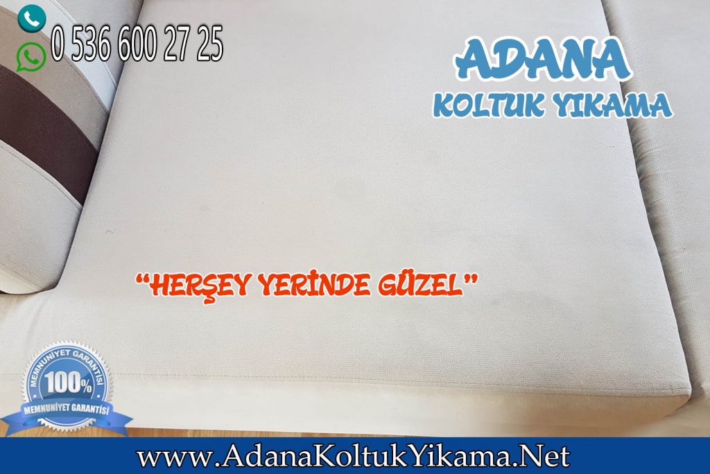 Adana Seyhan Koltuk Yıkama