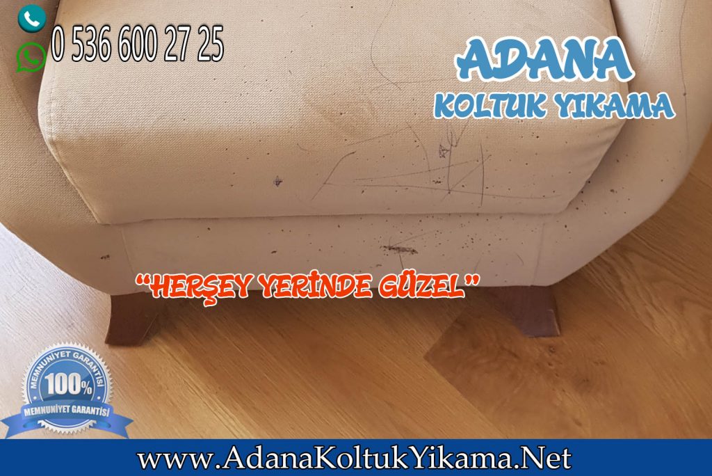 Adana Seyhan Koltuk Yıkama