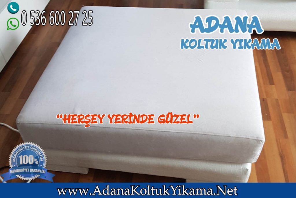 Adana Koltuk Yıkama