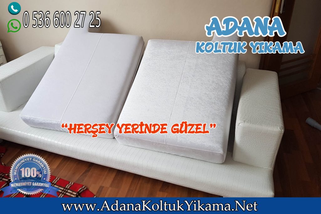 Adana Koltuk Yıkama