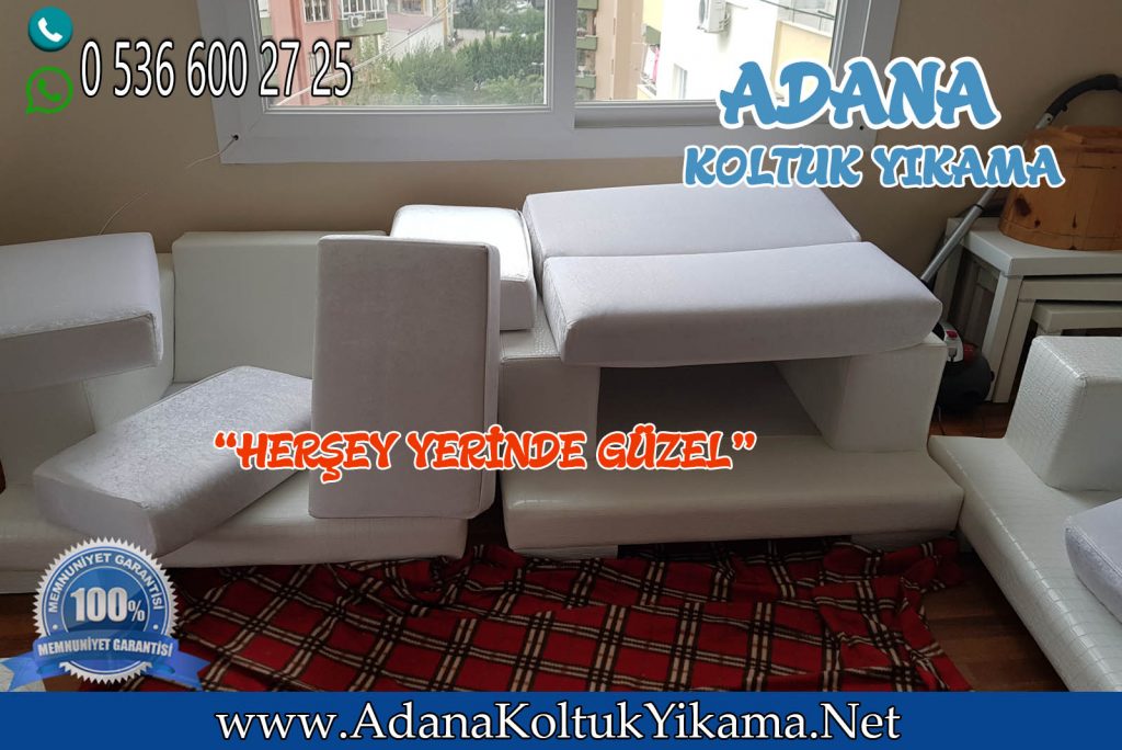 Adana Koltuk Yıkama