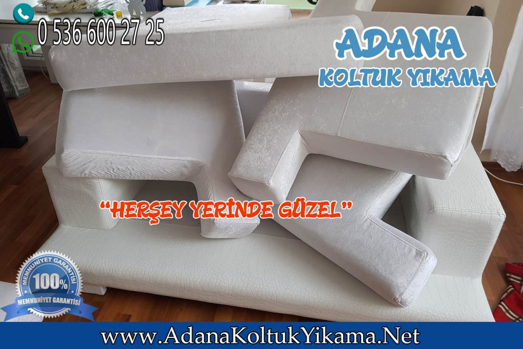 Adana Koltuk Yıkama