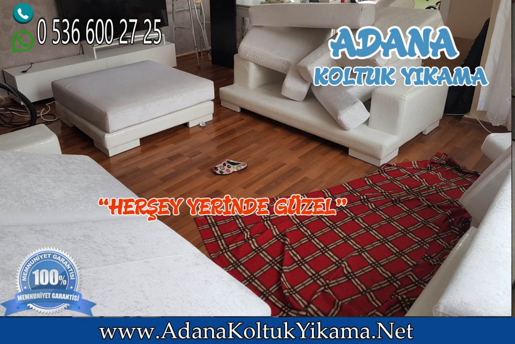 Adana Koltuk Yıkama