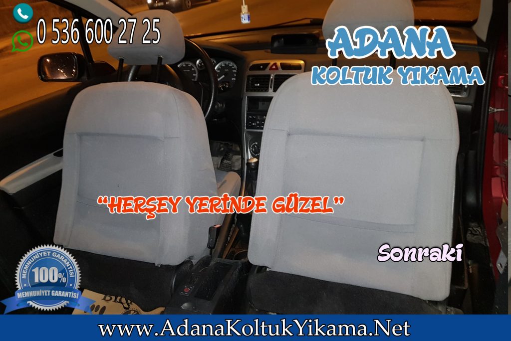 Adana Oto Koltuk Yıkama Peugeot 206