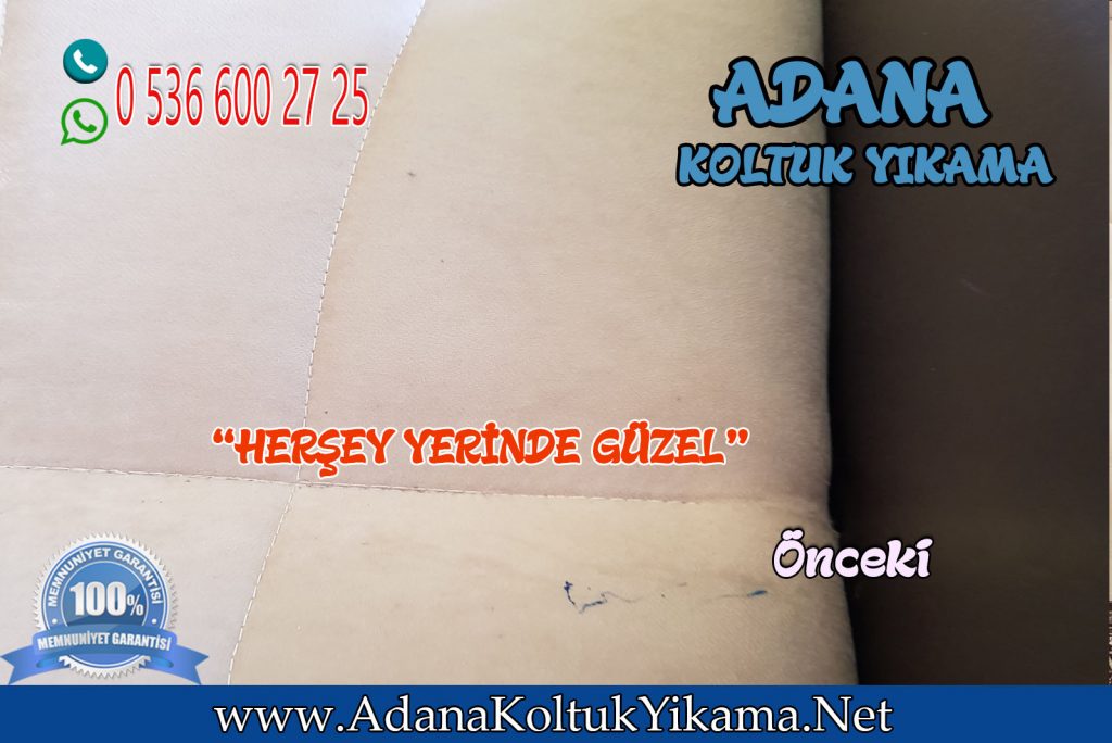 Adana Yüreğir Koltuk Yıkama